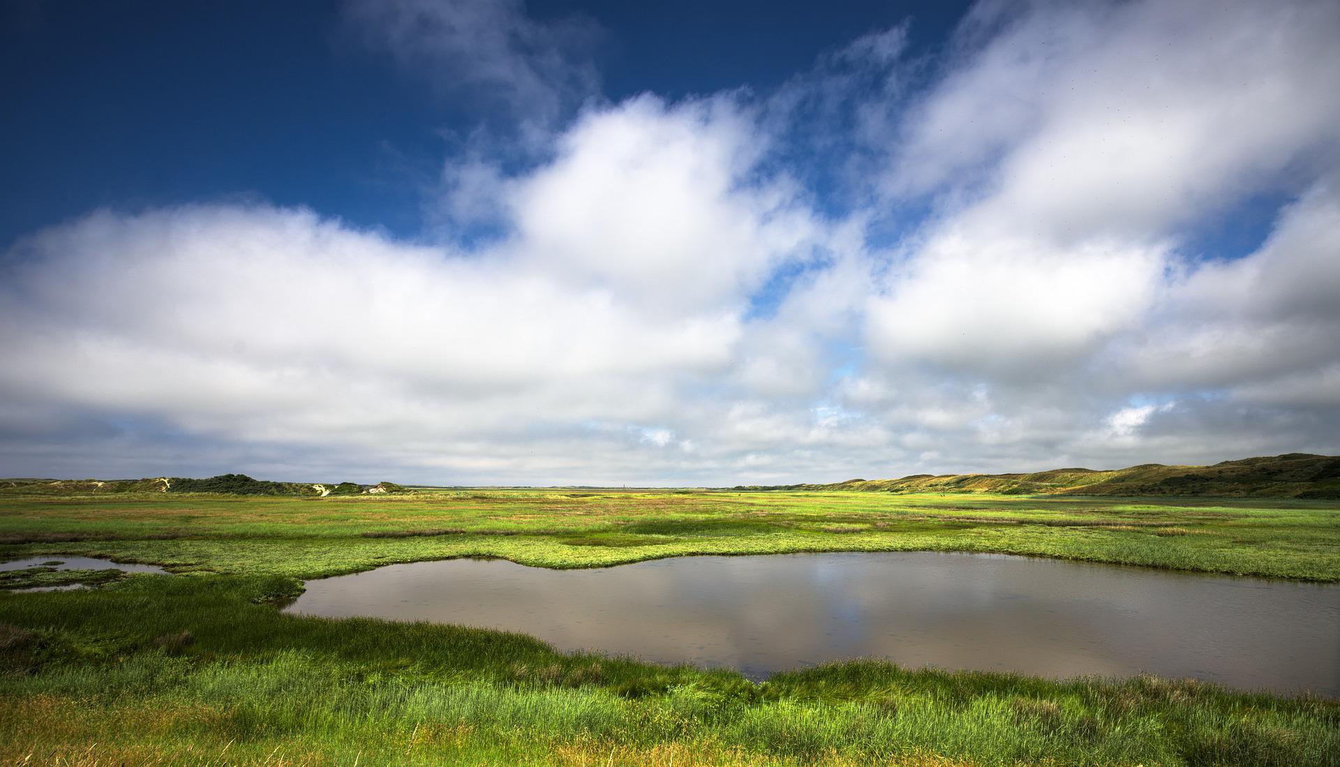 Dit zijn de 4 mooiste natuurgebieden van Nederland